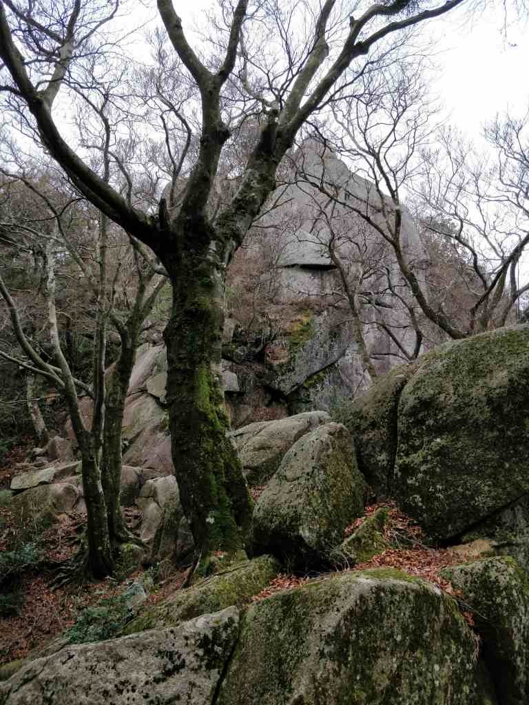 宝満山 岩