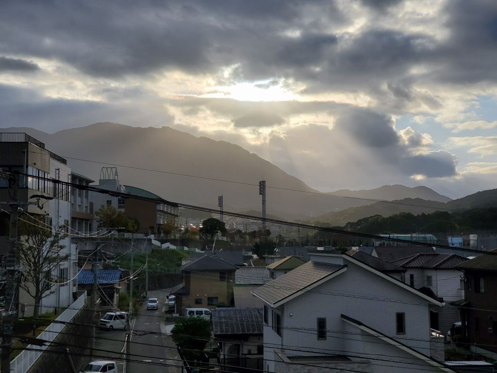 アボカド 三つ葉